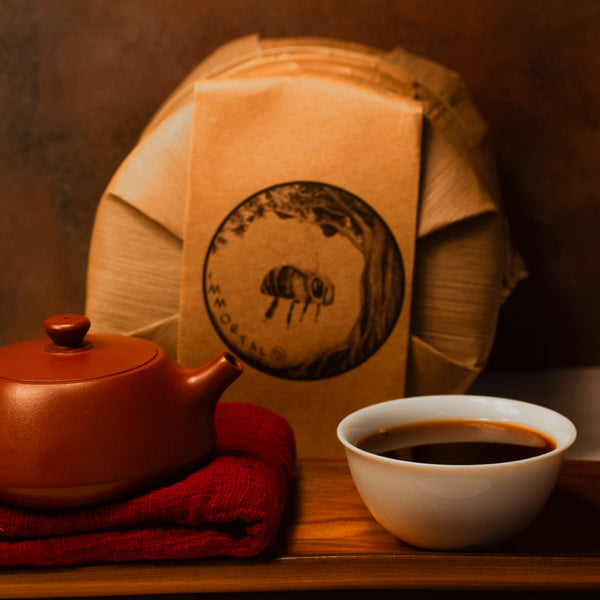 Immortal Puerh